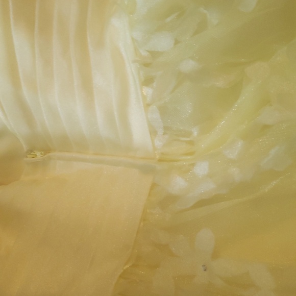 Dress - Picture 6 of 6